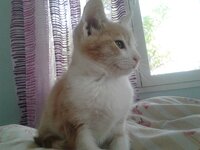 2014-11-25 12.50.22.jpg