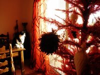 PC130871 (800x600).jpg