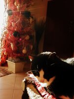 PC130878 (600x800).jpg