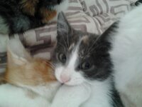 2014-12-27 13.06.44.jpg