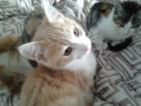 2014-12-27 13.06.19.jpg