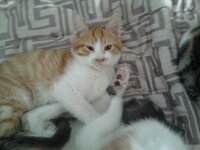 2014-12-27 13.06.36.jpg