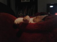 2014-12-28 01.38.03.jpg