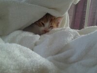 2014-11-25 14.35.17.jpg