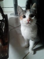 2015-02-07 13.53.09.jpg