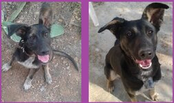 Nantia.jpg Nantia.jpg