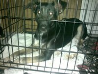 2015-02-10-607.jpg 2015-02-10-607.jpg