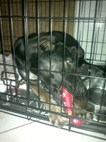 2015-02-10-609.jpg 2015-02-10-609.jpg