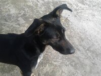 2015-02-12 15.15.44.jpg 2015-02-12 15.15.44.jpg