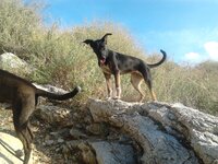 2014-11-11 09.48.53.jpg 2014-11-11 09.48.53.jpg