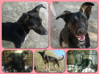 Nantia.jpg Nantia.jpg