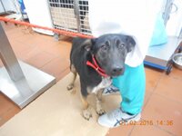 ce86d91b5d90541814c162e51d434f67_XL.jpg ce86d91b5d90541814c162e51d434f67_XL.jpg