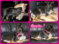 Nantia.jpg Nantia.jpg