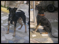 Nantia.jpg Nantia.jpg