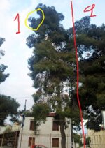 Φωτογραφία0039 (Small).jpg