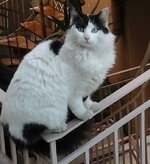 10882193_10205580284887057_6480534776385779992_n (1).jpg