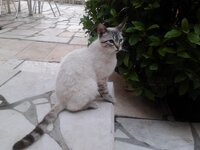 2015-05-28 19.35.52.jpg