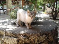 2015-06-05 14.16.29.jpg