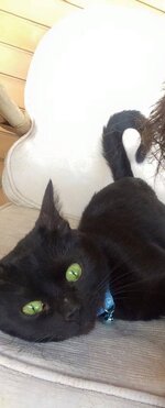 1623660_1623380227908486_4458170371322156817_n.jpg 1623660_1623380227908486_4458170371322156817_n.jpg