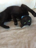 10311371_1622409258005583_1131962133512306978_n.jpg 10311371_1622409258005583_1131962133512306978_n.jpg