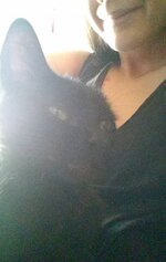 11647244_1626461527600356_1317131701_n.jpg 11647244_1626461527600356_1317131701_n.jpg