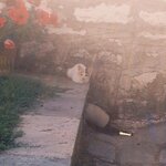 11638016_474818046016610_1313211780_n.jpg 11638016_474818046016610_1313211780_n.jpg