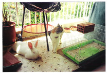 ο Ροζαλιντο σε μικρη ηλικια και η Τερεζα.jpg