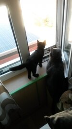 2015-07-16 09.14.49.jpg