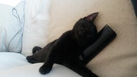 2015-07-04 12.55.11.jpg