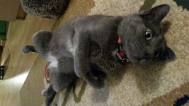 2015-03-23 18.34.04.jpg