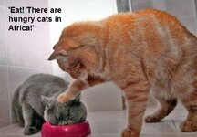 cf84cf81cebfcf86ceae.jpg cf84cf81cebfcf86ceae.jpg