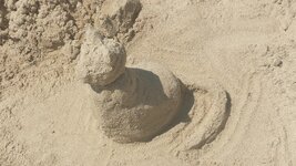 20150826_122446.jpg 20150826_122446.jpg