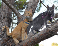 Εικόνα 108.jpg