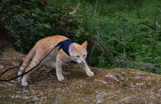 Εικόνα 030.jpg