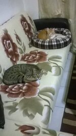 ώρα για ύπνο.jpg