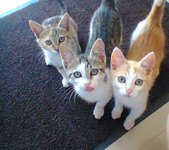 2016-01-18 17.40.35.jpg