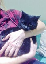 Φωτογραφία0844 (462x640).jpg