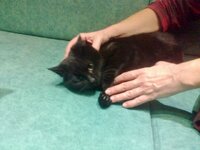 Φωτογραφία0847 (640x480).jpg