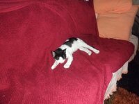 P5140010 (640x480).jpg