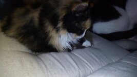 μελιτζανα 3.jpg