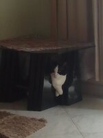 ριρης ποδαρακια.jpg