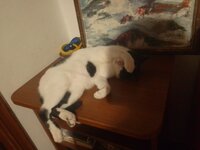 ριρης μη με κοιτατε.jpg