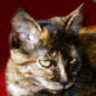 Κατερίνα Χαρισιάδου