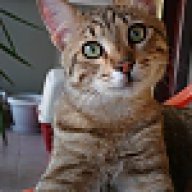 Γιώργος Λαμπρόπουλος