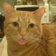 ΣΑΡΤΖΕΤΑΚΗ ΦΛΩΡΑ