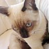 ΔΑΦΝΗ ΛΙΑΠΑΚΗ