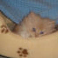 Γιαννηςμπουμπου