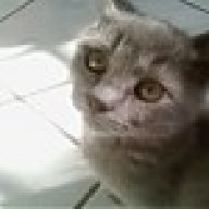 Μαγδα Ποπεσκου