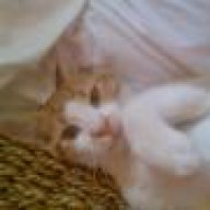 Χριστιάννα Γερακαρίτη