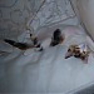 καντανολεων αννα